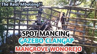 Spot Mancing Menuju Gazebo Mangrove Wonorejo Surabaya | Mancing Liar