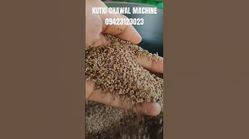 Kutki Chawal Machine 🤯🤯 #milletbusiness #millet #kutki