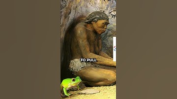 How to learn Japanese Playing Video Games