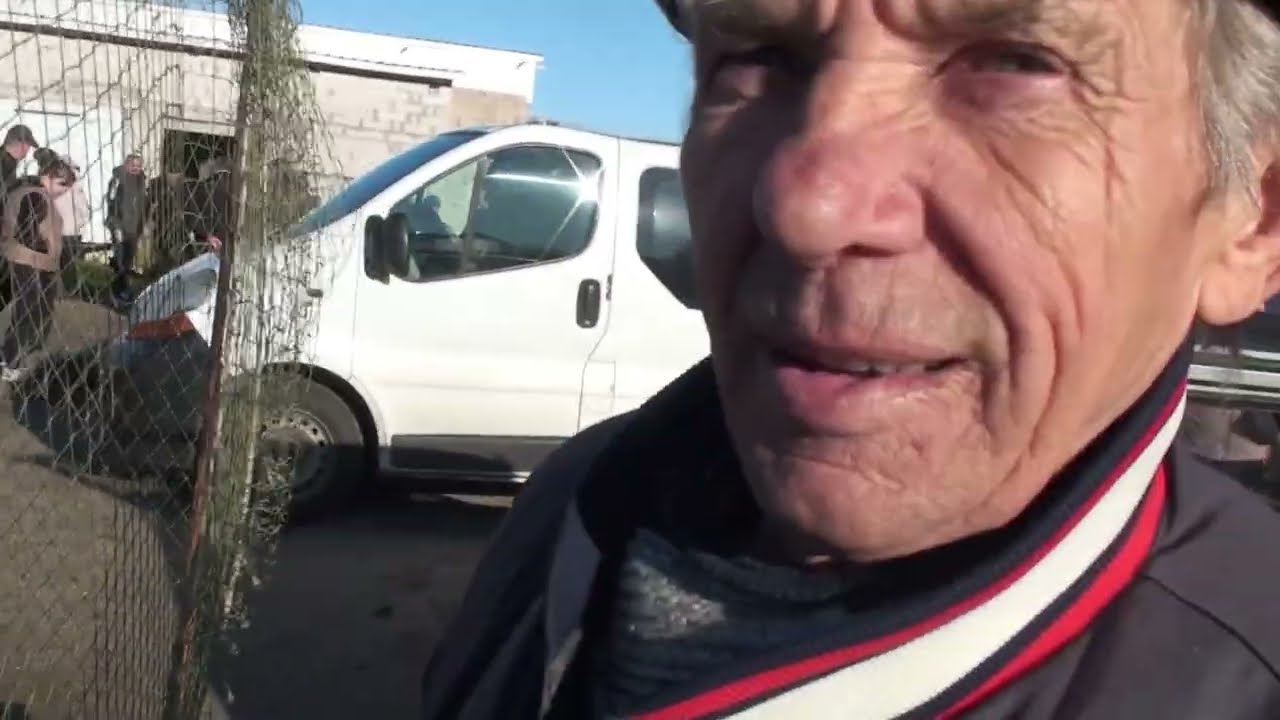 Ярмарок голубів.Первомайськ 1Ч.