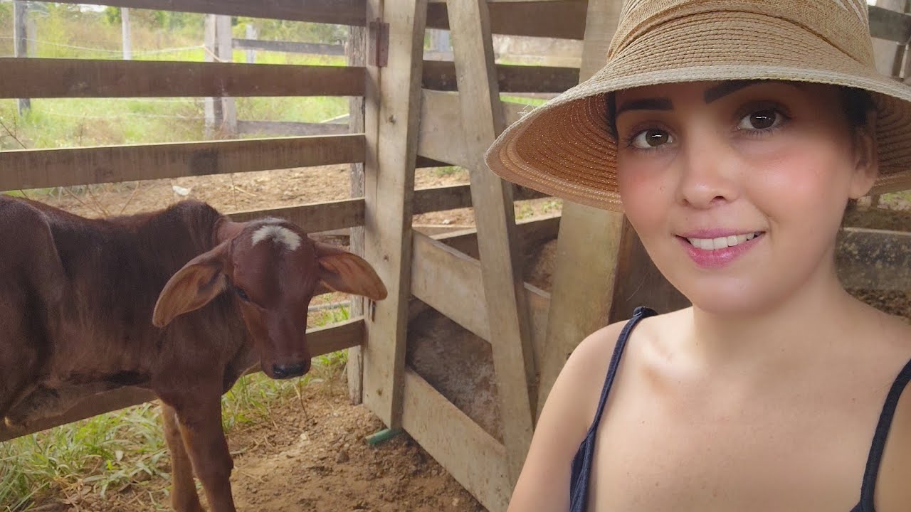 Como fazer RAÇÃO para BEZERROS!