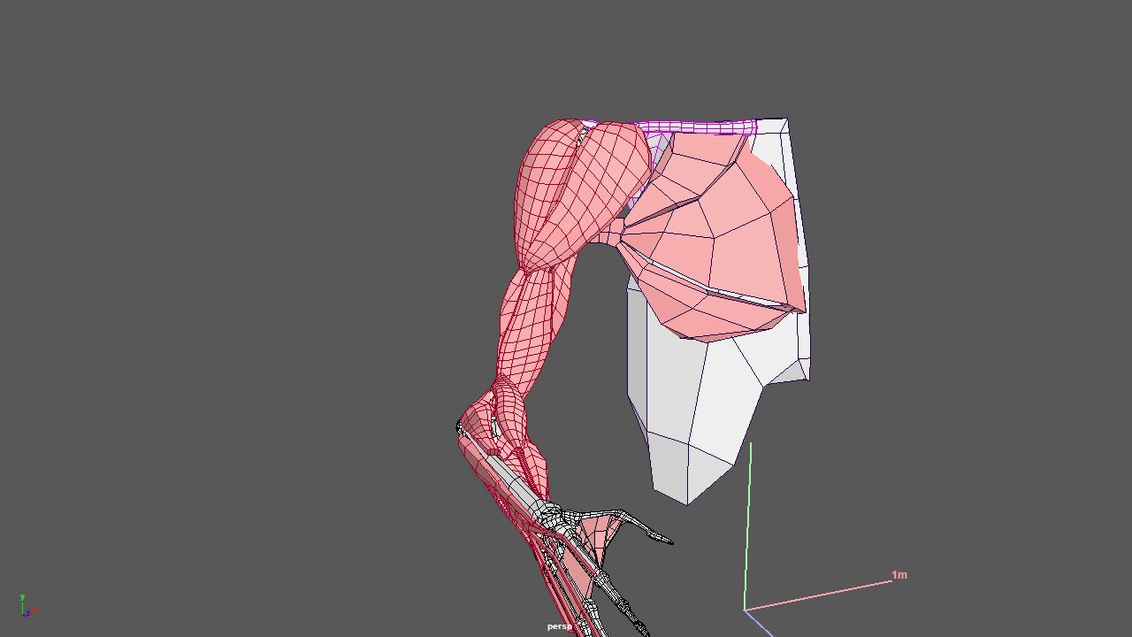 Muscles setup Ziva VFX and Maya: pectoralis and deltoid