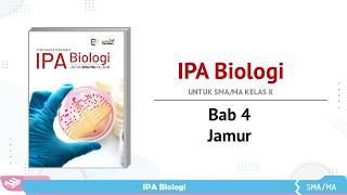 PPT Biologi SMA Kelas X Bab Jamur