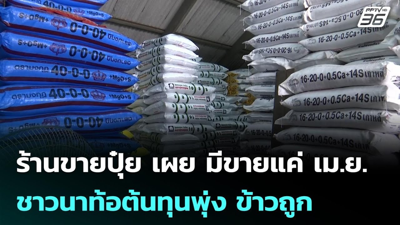 ร้านขายปุ๋ย เผย มีขายแค่ เม.ย. - ชาวนาท้อต้นทุนพุ่ง ข้าวถูก | โชว์ข่าวเช้านี้ |  30 มี.ค. 69