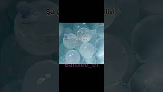 Barbie ve Ken #like #shortvideo 