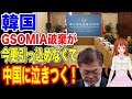 【韓国】GSOMIA破棄して引っ込めないので中国に助けを求めています!…【韓国ニュース:ウォン安】