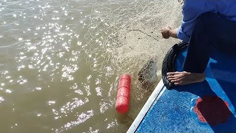 hai cha con đi thăm lưới cá chẽm, một ngày đầy mai mắn (lê nghĩa cần giờ)