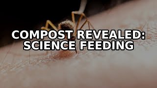 Compost Revealed: The Tiny Science Feeding Our Planet