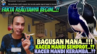 APAKAH PENGARUH ⁉️ KACER MANDI KERAMBA (vs) KACER MANDI SEMPROT || Begini Logikanya..‼️