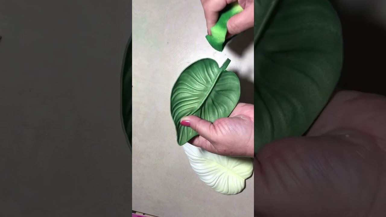 Anturio Rey.                                                    25 de junio de 2024