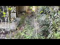 【草木で覆われた家の裏】30年かけて草木に侵食された家の裏を綺麗にしてみた#17