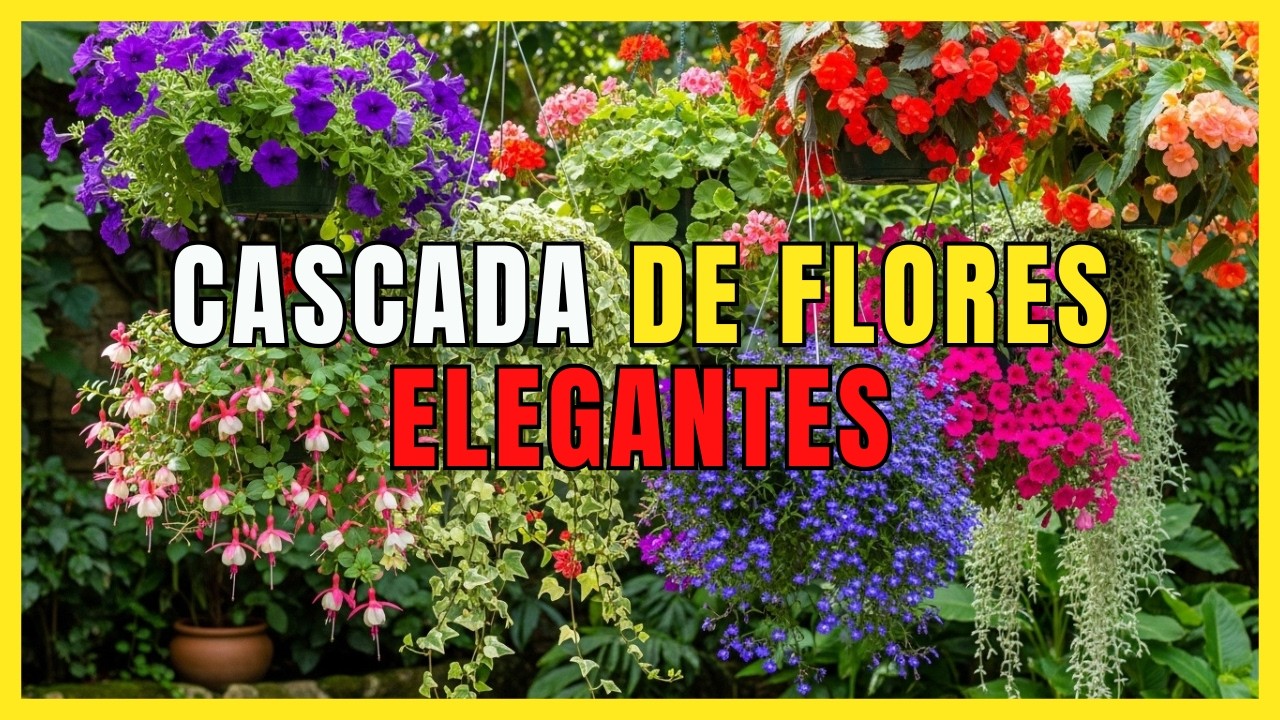 7 Flores colgantes para darle elegancia a tu hogar