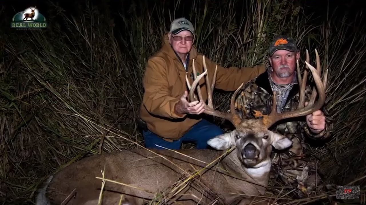 TOP 5 BIGGEST BUCKS SHOT WITH A BOW YouTube