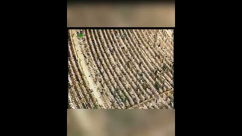﴿وما أرسلناك إلا رحمة للعالمين﴾ تلاوة جميلة يطمئن لها القلب للشيخ: ماهر المعيقلي حفظه الله.