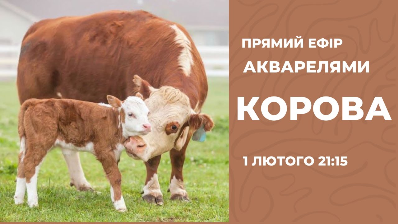 Акварель. Корова з телятком #pugachpainting - YouTube