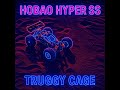 Hobao Hyper SS Truggy Cage !!! with paddle tires !!
