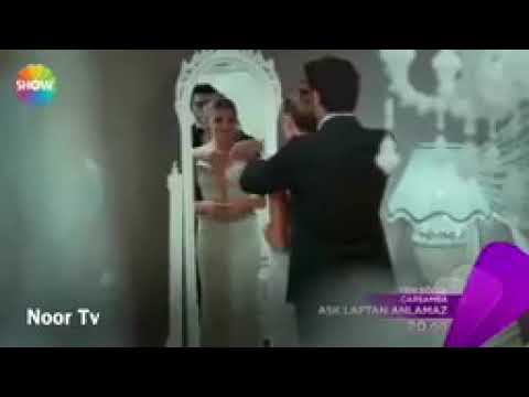 اليسا وبيستحي حياة ومراد