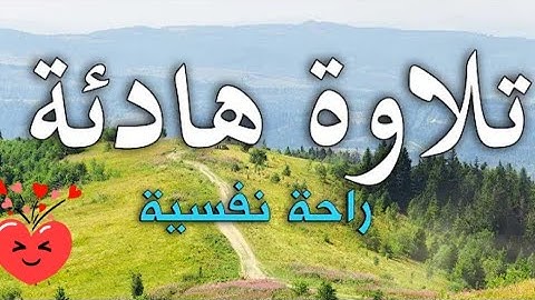 سورة فاطر(كاملة) بأجمل صوت هادئ /عبد الله خلف