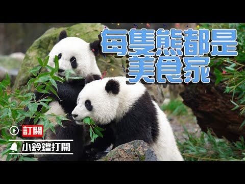 《熊貓Top榜》288期 熊貓與美食的故事 | iPanda熊貓頻道