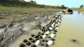 OMG ! Collect lots of duck eggs and snails along the waterfront near the road