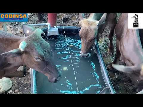 Video: ¿Para qué se utiliza un flotador de toros?