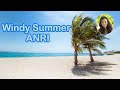 Anri     anri windy summer  timelyofficial