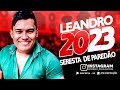 Leandro avilla 2023  seresta de paredo ao vivo