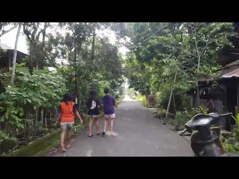 Paniki Bawah Mapanget Manado