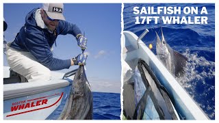 Kite Fishing on a 17 Foot Whaler  Landed a Huge Sailfish!