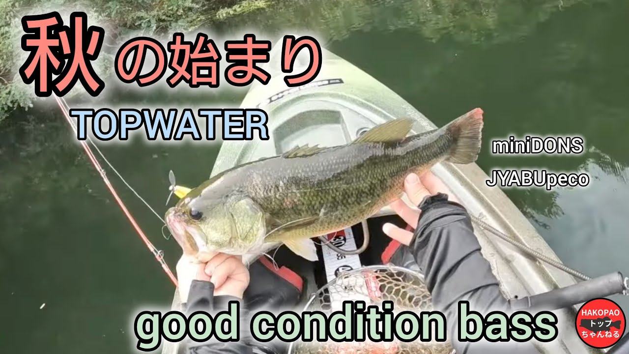 秋の始まりにグッドバス【トップウォーター】