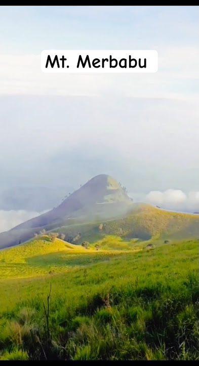 Pagi di Gunung Merbabu 🤩