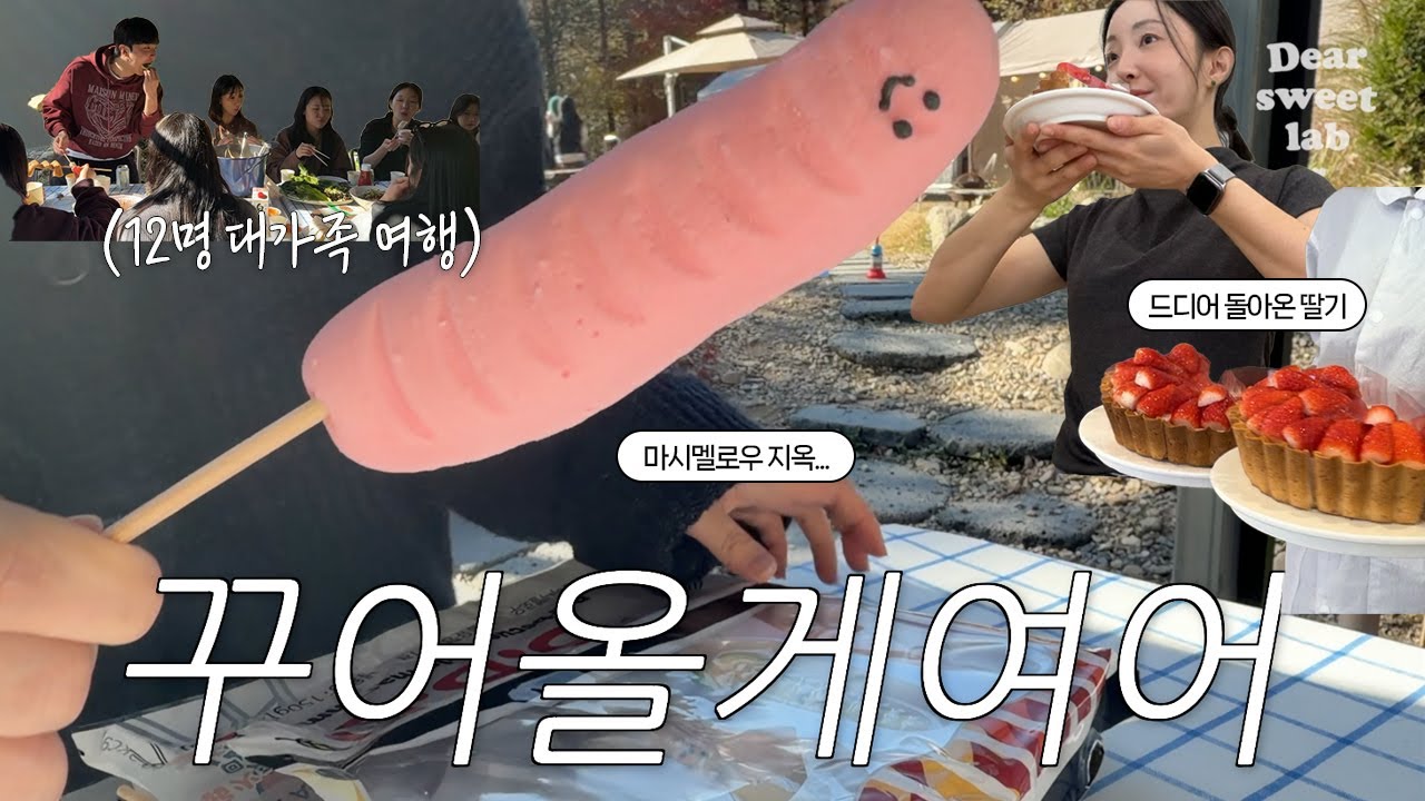 [Cafe Vlog] 12명 대가족 여행 / 딸기 디저트 /  마시멜로우 지옥 / 디저트 카페 직원 워크샵 / 가족같은 회사 / 디저트카페 브이로그 /백색소음