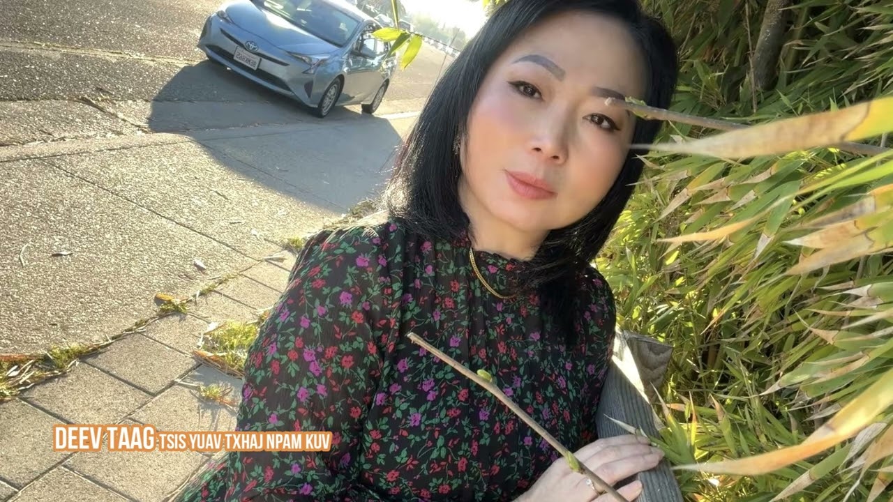 DLaag Deev Taag Tsis Yuav  03-03-2026