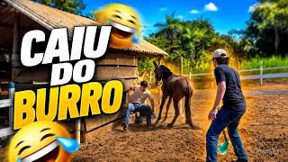 O BURRO XUCRO PULOU COM MEU AMIGO 