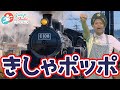 【きしゃポッポ】 汽車ポッポー♪ みんなは汽車に乗ったことがあるかな? #子ども #童謡 #おかあさんといっしょ