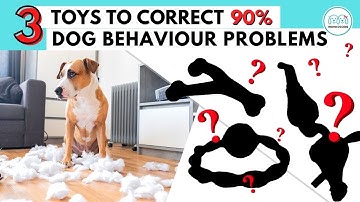 3 Dog Toys that can be  used to reduce 90% of Dog behavior problems || Monkoodog