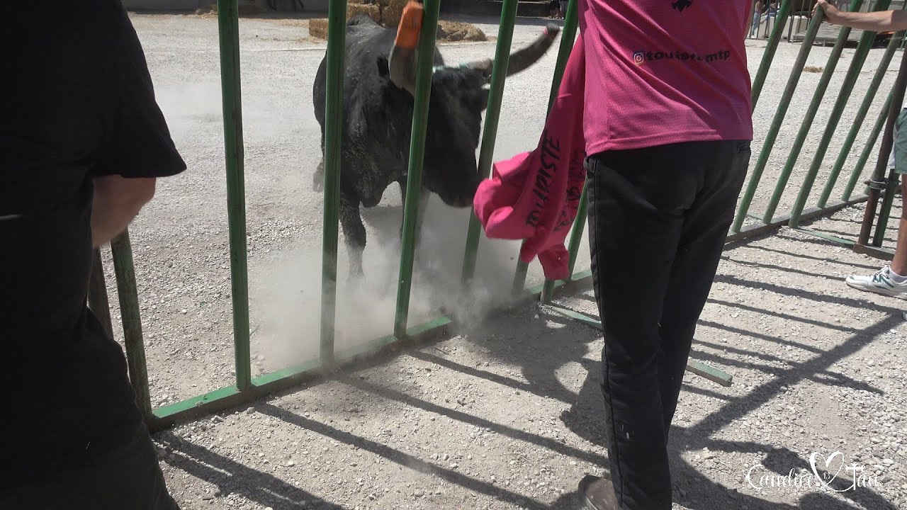 ENCIERRO DE TAU - CHATEAURENARD 07/07/2025