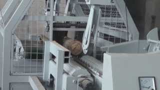 ZMAX Double side sharp chain sawmill