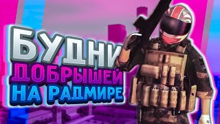 Типичные Будни Добрышей на Радмир РП! #1 (+мини тутор по СС)