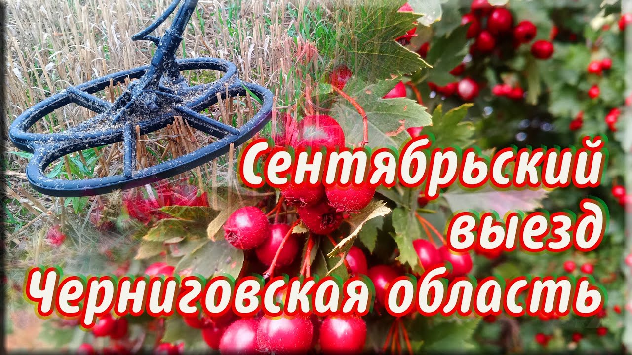 Второй выезд на коп за сезон. 2х Квазар F3 и Фортуна М3.