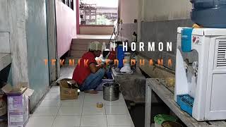 Cara Membuat Hormon GA3 dari Rebung Bambu.