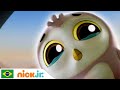 Patrulha Canina | Bebê Ukhta | Nick Jr. em Português