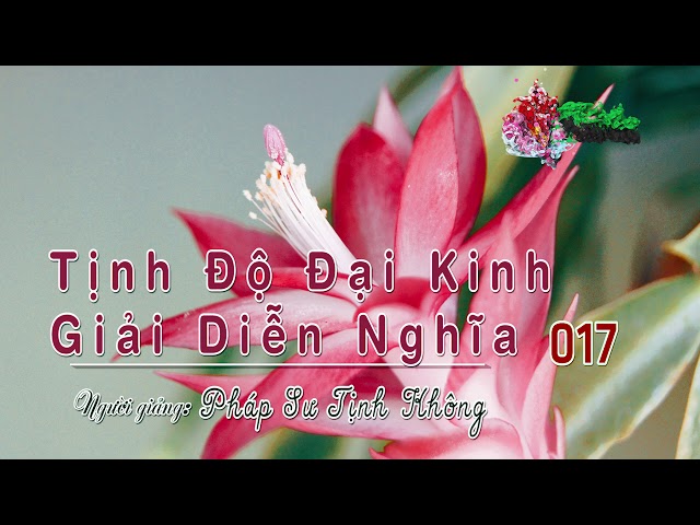 Tịnh Độ Đại Kinh Giải Diễn Nghĩa - 017