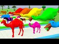 Cow Cartoon Vs Gorilla, Paint and Animals Learn Colors With Wild Animals Cow,Duck,Elephant,Tiger