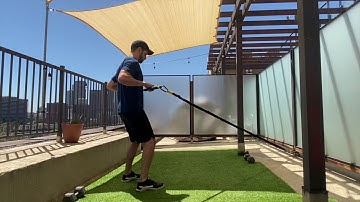 TRX Rip Trainer Row Pause