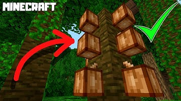 How to Grow COCOA BEANS in Minecraft! 1.16.2