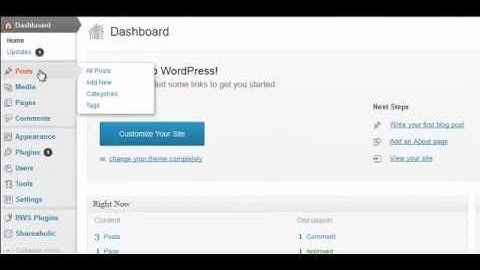 What Are Tags And How Do You Add Them To Your WordPress Blog? - (Beginners Series)