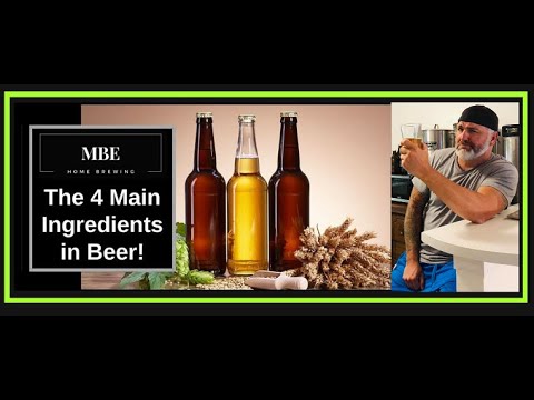 The 4 Main Ingredients in Beer - YouTube