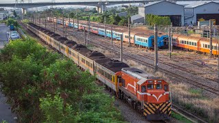 2022/7/16 8791次 超長編柴聯廢回 R169+DR2800*5組 by Insta 360 ONE R