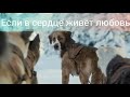 Зов предков / Если в сердце живёт любовь